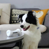 Pet Induction Interactive Toy - Outlet-Marketplace