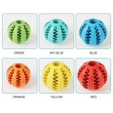 Watermelon Ball for Dog Toy - Outlet-Marketplace