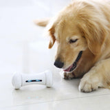 Pet Induction Interactive Toy - Outlet-Marketplace