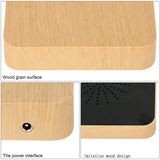 Potted Plant Home Desk Decor - Outlet-Marketplace
