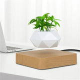 Potted Plant Home Desk Decor - Outlet-Marketplace