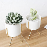 1 ensemble de vases en céramique de style nordique en fer, vases à fleurs minimalistes, décoration de la maison, pot de fleurs pour plantes vertes, café, bureau, salle