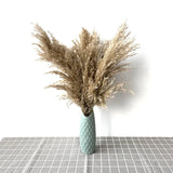 Dried Pampas Grass Home Decor Plant - Outlet-Marketplace