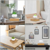 Potted Plant Home Desk Decor - Outlet-Marketplace