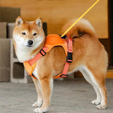 Automatic Retractable Dog Leash With Harness No-Pull Chest Adjustable Breast-band - Outlet-Marketplace