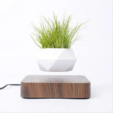 Potted Plant Home Desk Decor - Outlet-Marketplace