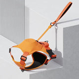 Automatic Retractable Dog Leash With Harness No-Pull Chest Adjustable Breast-band - Outlet-Marketplace