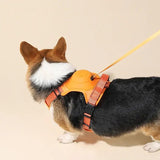 Automatic Retractable Dog Leash With Harness No-Pull Chest Adjustable Breast-band - Outlet-Marketplace
