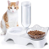 Pet Bowl Double Bowls Food Water Feeder With Auto Water Dispenser - Outlet-Marketplace