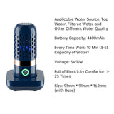 Vegetable Disinfection Machine - Outlet-Marketplace
