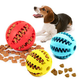 Watermelon Ball for Dog Toy - Outlet-Marketplace
