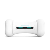 Pet Induction Interactive Toy - Outlet-Marketplace
