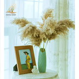 Dried Pampas Grass Home Decor Plant - Outlet-Marketplace