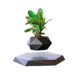 Potted Plant Home Desk Decor - Outlet-Marketplace