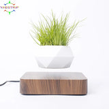 Potted Plant Home Desk Decor - Outlet-Marketplace