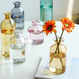 Nordic Glass Flower Vase Decor - Outlet-Marketplace