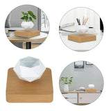 Potted Plant Home Desk Decor - Outlet-Marketplace