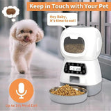 Automatic Dogs Cats Feeder - Outlet-Marketplace