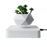 Potted Plant Home Desk Decor - Outlet-Marketplace