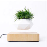 Potted Plant Home Desk Decor - Outlet-Marketplace