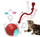 Balle roulante pour chat